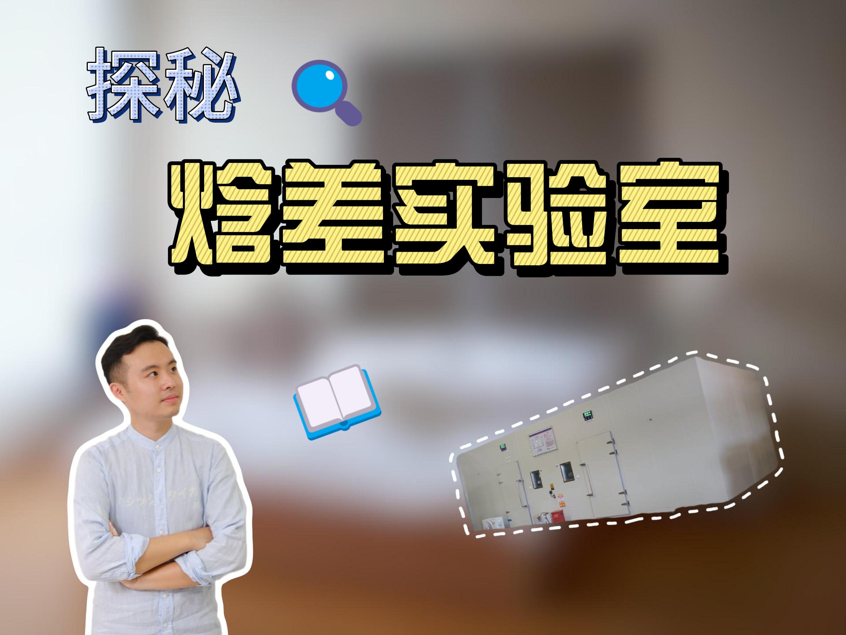 Elevate Your Space: The Art of Stylish Furnishing!